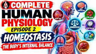 Complete Human Physiology | Episode 2  Homeostasis Explained: The Body's Internal Balance