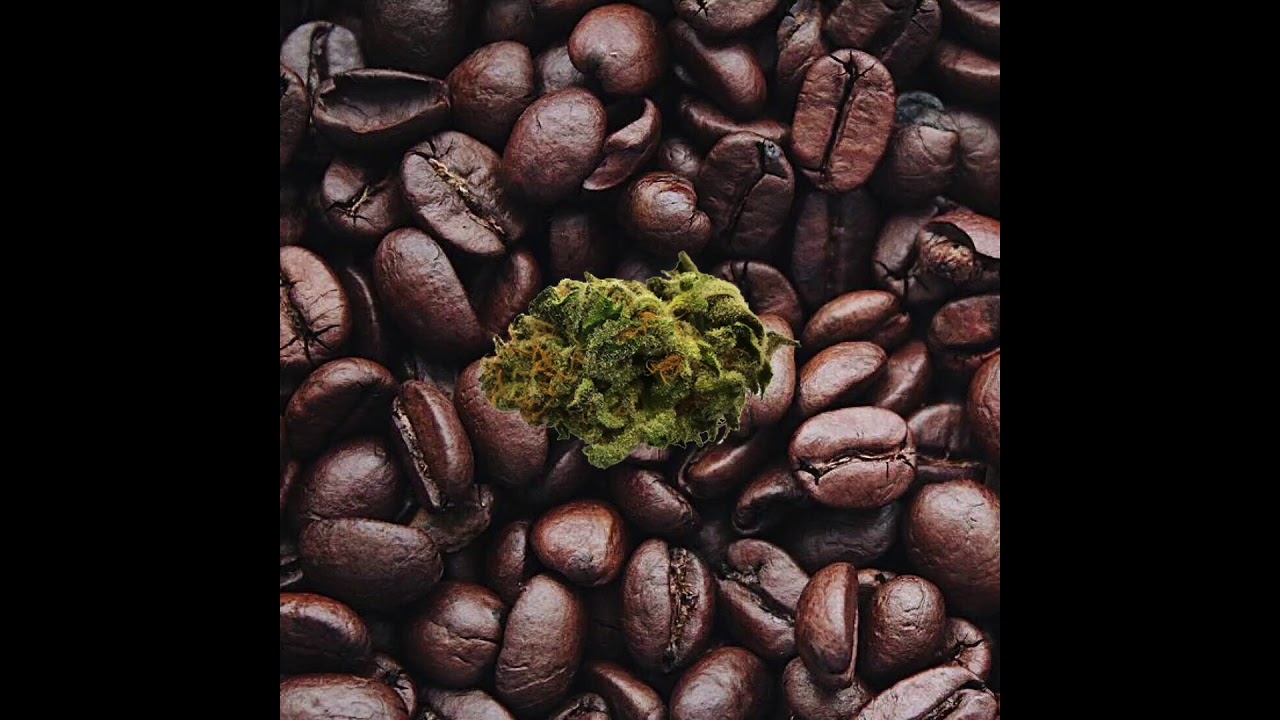 48 North Green Crush 3 5g   Daily Deal TokeText com