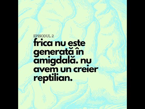 Video: Este amigdala parte a creierului reptilian?