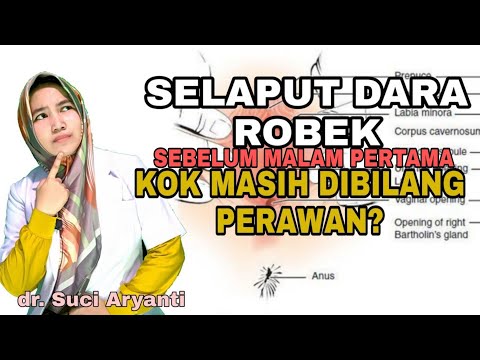 SELAPUT DARA ROBEK SEBELUM MALAM PERTAMA, MASIH TETAP PERAWAN, KOK BISA?