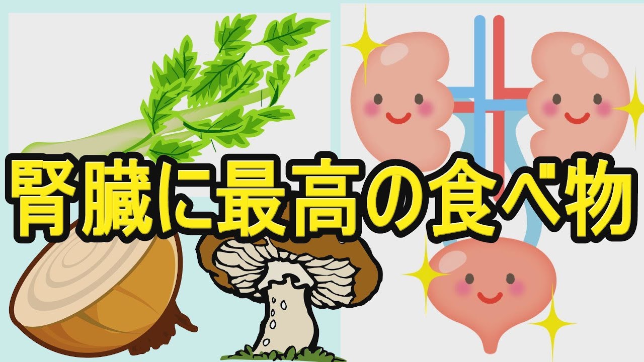 妊娠した 仕事 作り 腎臓 病 良い 食材 関連する バルーン アクセル 妊娠した 仕事 作り 腎臓 病 良い 食材 関連する バルーン アクセル