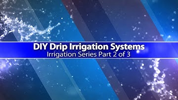 DIY Drip Irrigation (Irrigation Series Part 2 of 3)