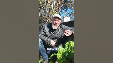 The biggest myth about hunger #food #future #sustainability