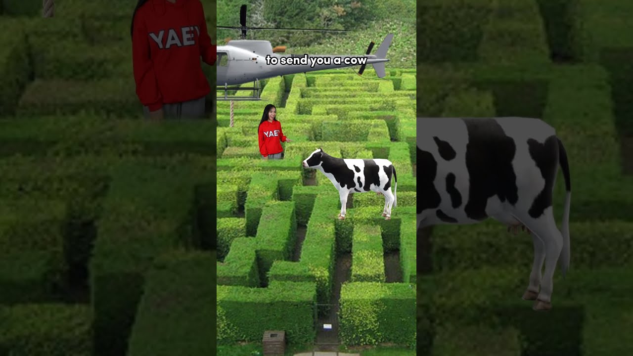 Chapter 48 How To Escape A Maze In 3 Steps