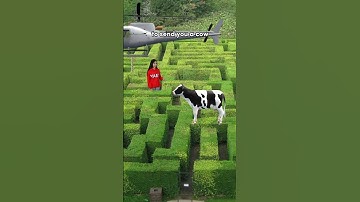 Chapter 48: How to escape a maze in 3 steps