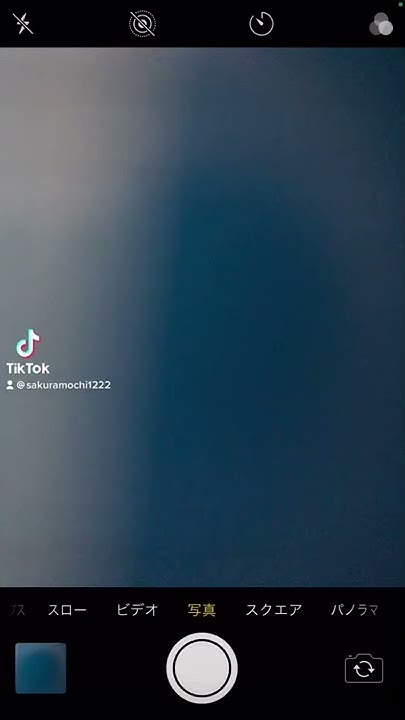 ゲーム画面と カメラのシャッター音 ミッキー ミニー Youtube