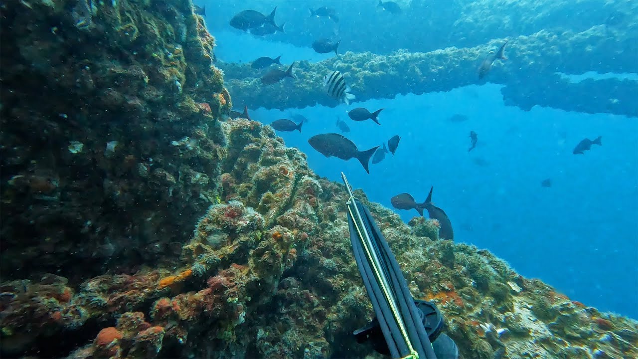 Spearfishing Deep Offshore Oil Rigs for Tropical Reef Fish || Ep. 1 ...