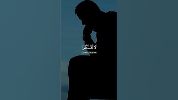 سورة الزمر آية 53