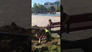 Küçük Iş Makinesi Parkta Çalışma Yapıyor