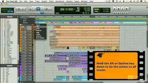 Pro Tools 8 101 Core Pro Tools 8 - Zooming With Tracks