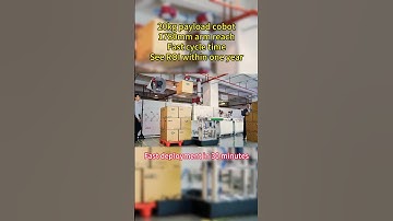 Efficient box palletizing with JAKA 20kg payload robot