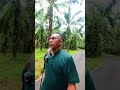 MASUK AR RAHNU ABG TAK PERNAH FIKIR UPAH SIMPAN #alhijamahmelaka #belisuratpajakmelaka #GoldBarMAA