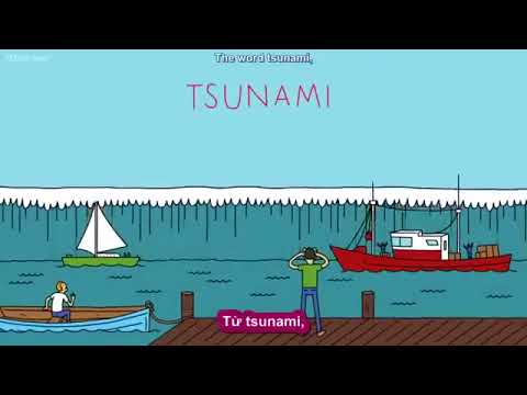 Video Sóng thần là gì và nó hình thành như thế nào? - youtube