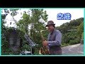 空港 2019.10.25  テナーサックスで懐かしのメロディー #テナーサックス #テレサテン