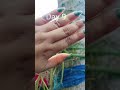 #মোৰ অৰ্কিড জোপা #flowers #orchid #viralvideo *#love