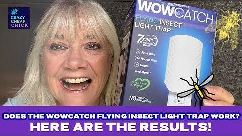 Wat is de beste manier om vliegende insecten te bestrijden? Productbeoordeling van de Wowcatch Fl...