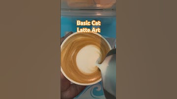 Basic Cat Latte Art Tutorial #coffee #latte #latteart #coffeeart #barista #baristapaul #cat