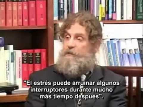 Robert Sapolsky: El problema con la testosterona y otros ensayos sobre la condición humana.