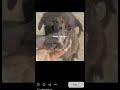 This is my first' video