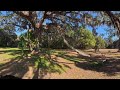 8K VR 360 | Garden Tour | Alfred B  Maclay Gardens | Florida State Park [3]