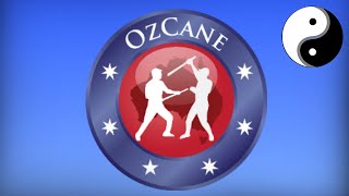 From OzCane - How I applied Hard and Soft to Martial Arts screenshot 1