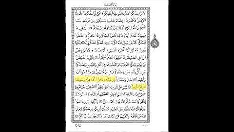 قرآن كريم الشيخ عبد الرحمن بن موسى ورش عن نافع حزب 13
