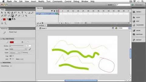 Adobe Flash CS5 Tutorial  Chapter 1 FLASH BASICS  Video 6