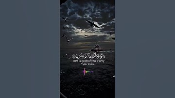 ما تيسر من سوره الصف