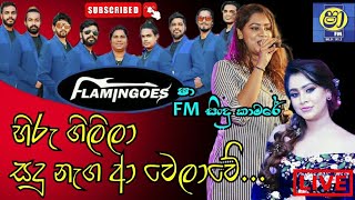 Video thumbnail of "hiru gilila sadu naga a welawe ( හිරු ගිලිලා සදු නැග ආ වෙලාවේ ) අමන්දා පෙරේරා / ෂා සිංදු කාමරේ"