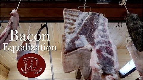 The Value of Bacon Equalization
