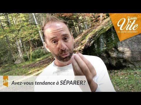 Vidéo: Tendance à La Séparation