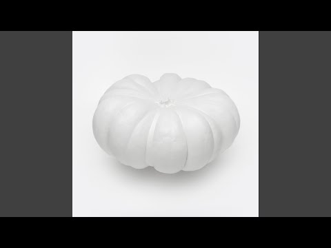 Vegetable Orchestra — In V