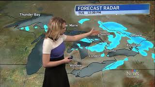 Lindsay Morrison Ctv Weather Works Tight Dress Jan 17, 2022