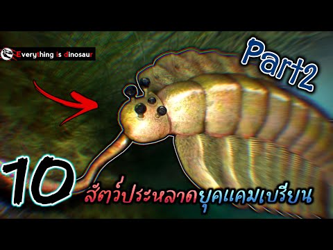 10 สิ่งมีชีวิตพิศดารแห่งยุคต้นกำเนิด Cambrian explosion | part2