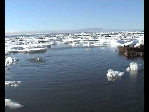 Как надо купаться в Чукотском море