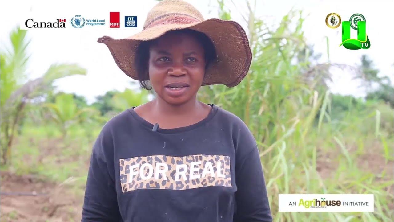 AYEKOO: WOMEN IN AGRICULTURE IN EASTERN REGION