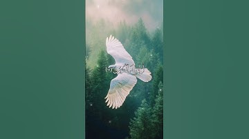 وَٱلسَّٰبِقُونَ ٱلسَّٰبِقُونَ _ القارئ : أحمد دياب #قرآن #أحمد_دياب #reels