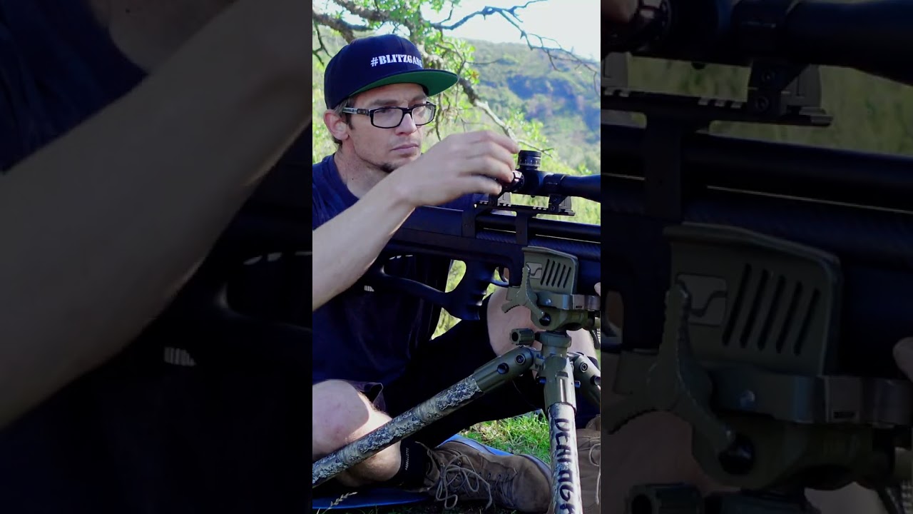 Первая стрельба из моей установки мишени Huben K1 Field Target за 4000 долларов 