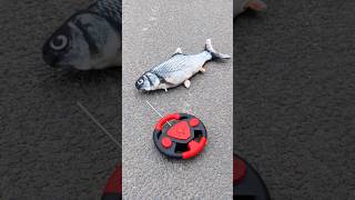 Rc Big Size Katla Fish Unboxing #fish