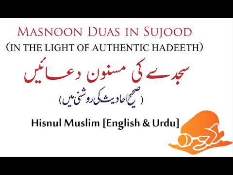 Sunnah Dua in Sajdah | سجدے کی مسنون دعائیں | Hisnul Muslim | حصن المسلم