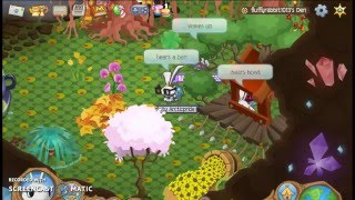 Animal jam The Three Sisters part 1