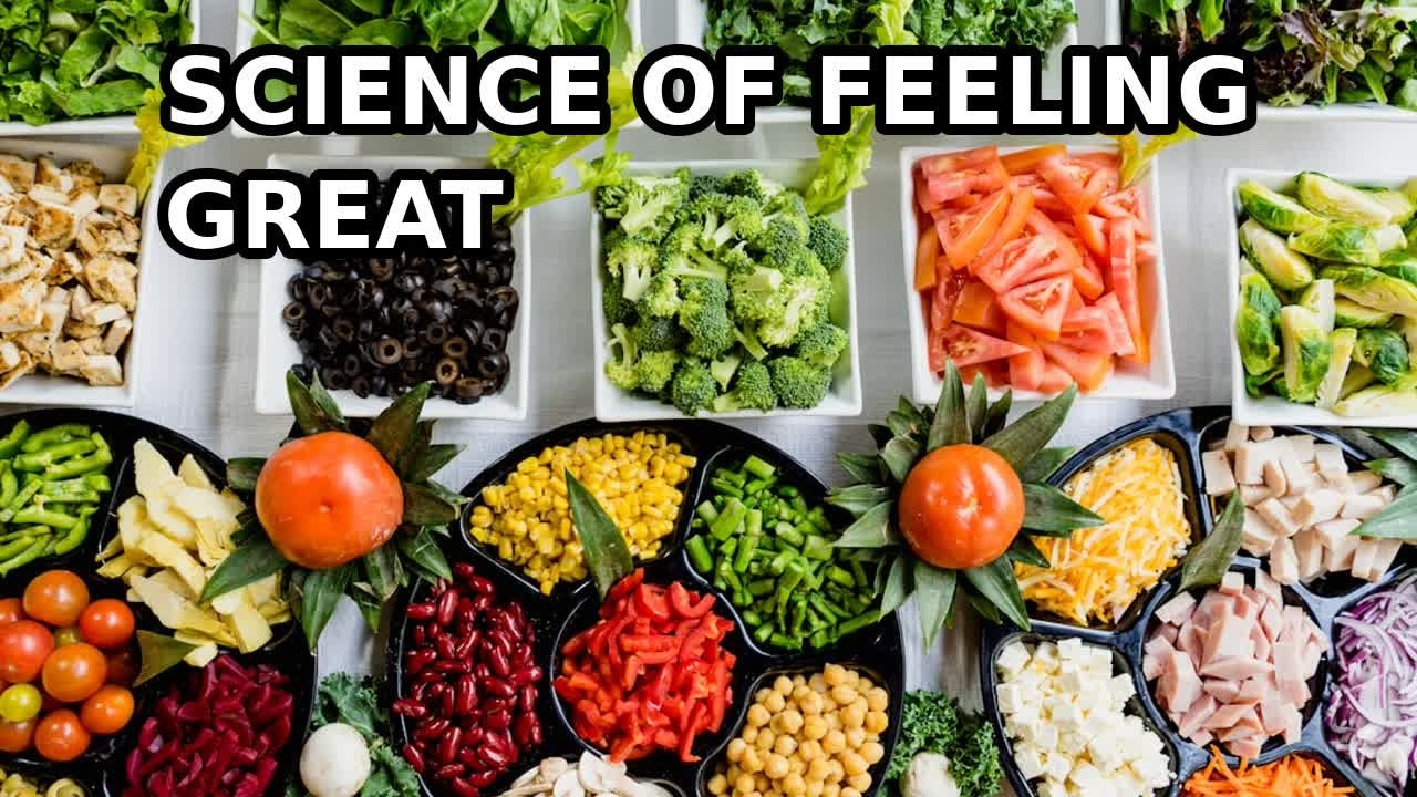Science of Feeling Great — wellness & vitality | HDL Group