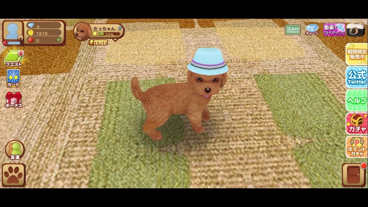 てのひらワンコ🐶🐕🐾