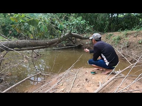 Video: Río Chusovaya: mapa, foto, pesca. Historia del río Chusovaya