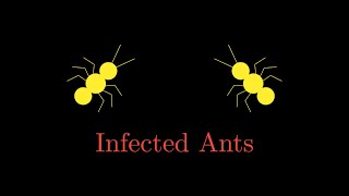 Quant Interview Problem: The Infected Ant Brainteaser