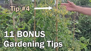 11 Gardening Tips That You Will Want To Share With Others