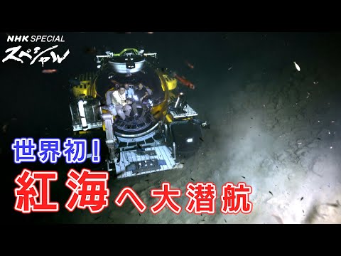 [NHKスペシャル] 海底で謎の湖を発見！衝撃の壮絶不思議風景 | ディープオーシャンII 紅海 世界初！深海の魔境に挑む | NHK