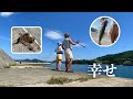 高い秋の空、立派な青物、初めてのタコ【宮城 釣り】vlog