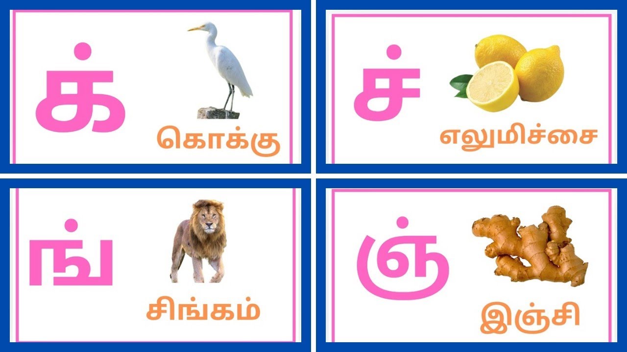 மெய் எழுத்துக்கள் / mei yeluthukkal / Letters /@kids with fun learning ...