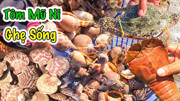 Hải Sản Bãi Trước Mũi Né Phan Thiết | Tôm Sú, Bạch Tuộc, Ghẹ Sống, Tôm Mũ Ni